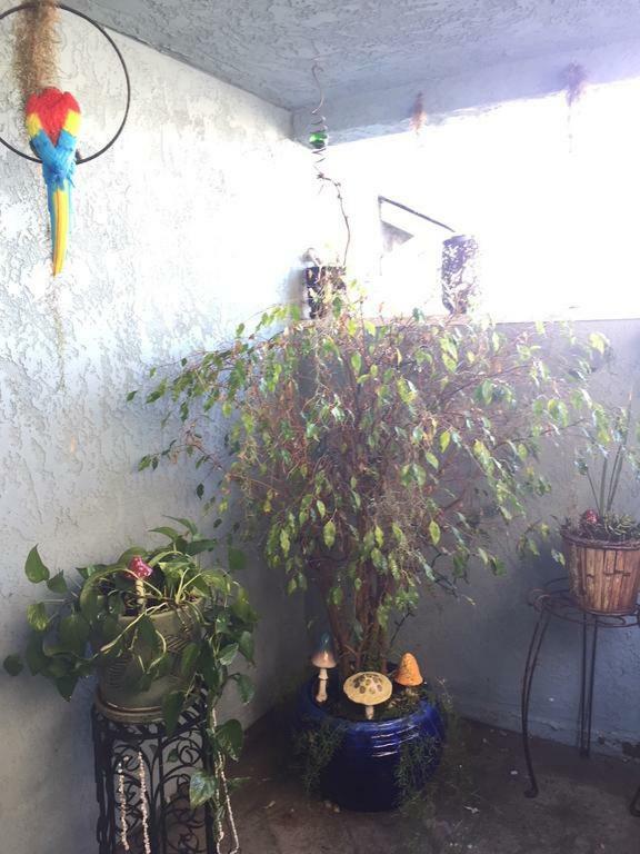Pacific Beach Butterfly Suite Сан Диего Екстериор снимка