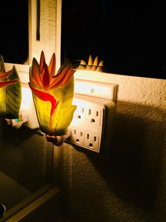 Pacific Beach Butterfly Suite Сан Диего Екстериор снимка